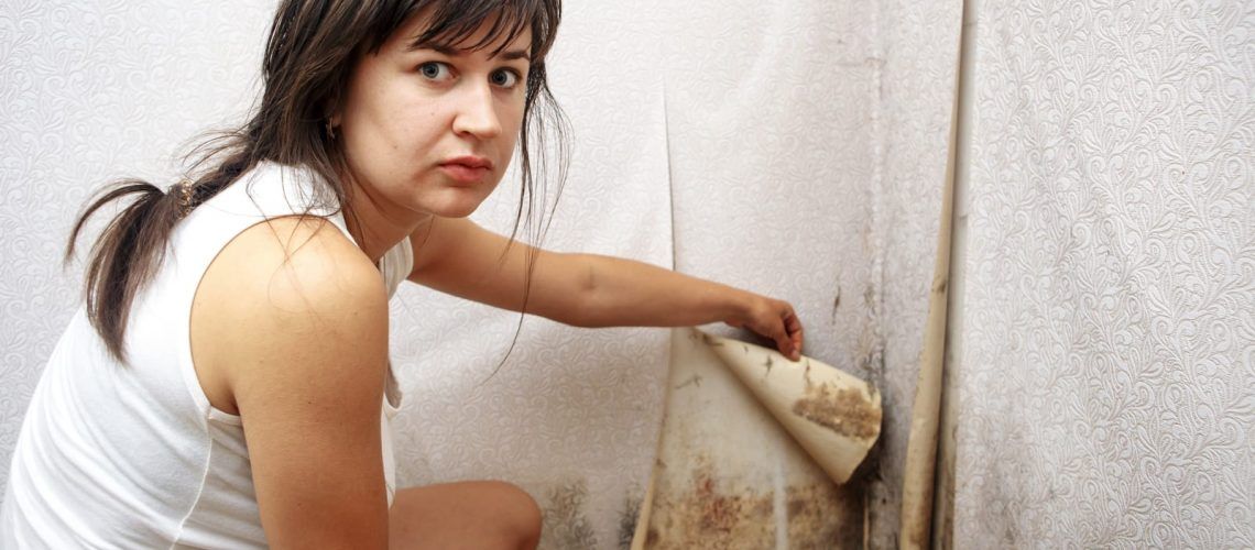 Woman revealing black mold behind wallpaper